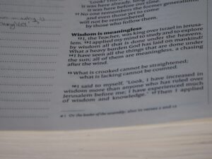 Assessing The Importance Of Capacity And Consent In Determining The Validity Of Binding Agreements